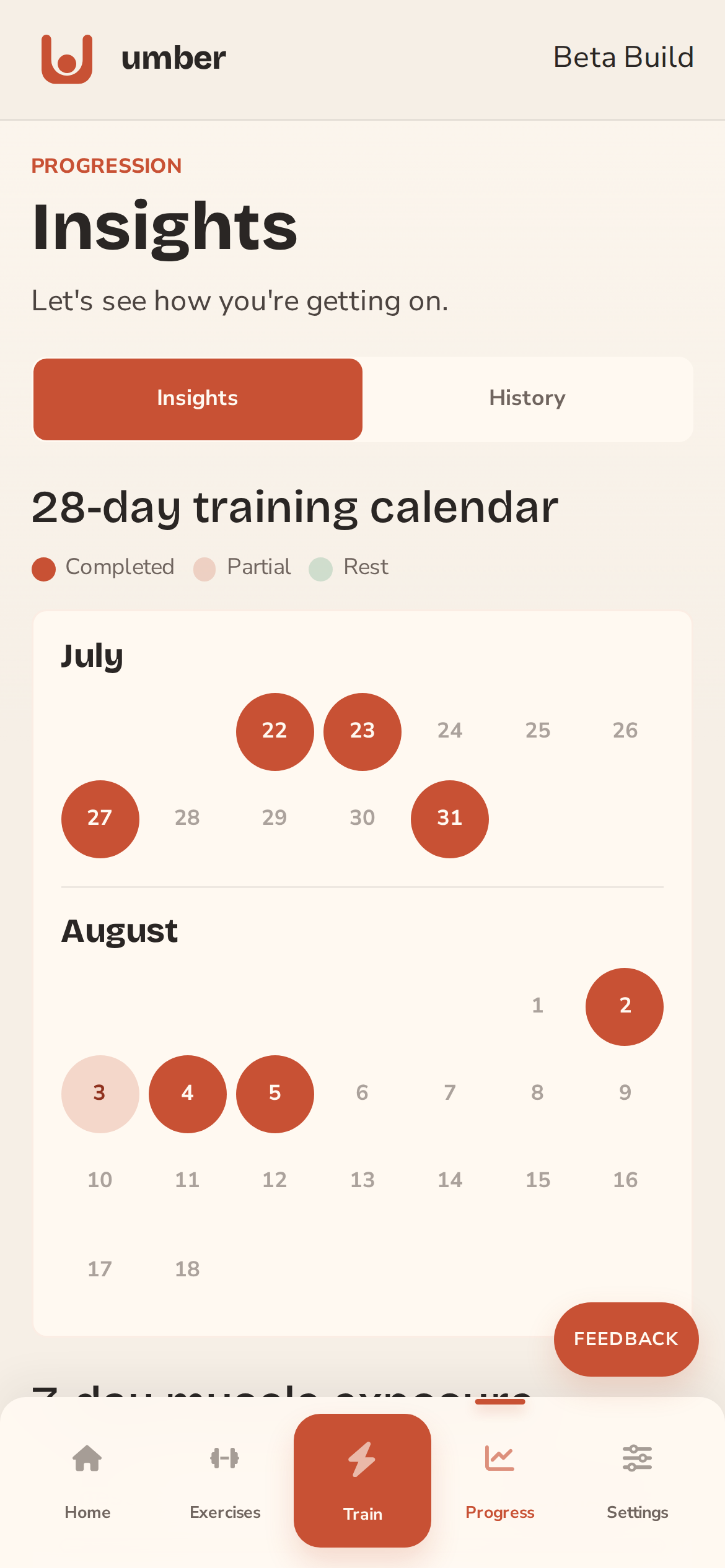 umber progression insights with training calendar and muscle exposure